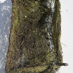Moss and Twig Basket 16x10x4 (Used)