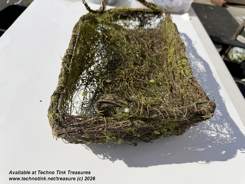 Moss and Twig Basket 16x10x4 (Used) - Image 10