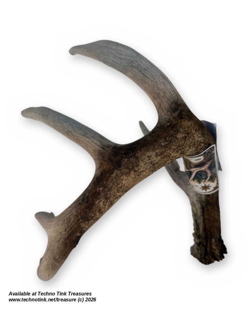 Branched Deer Antler - 3 Branch Y