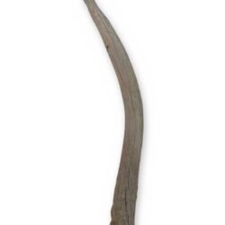 Weathered Deer Antler Tine, 13 Inches - Natural Shed Antler Craft Decor