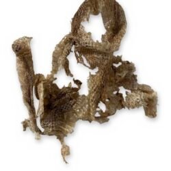 Shed Snake Skin - Natural Molted Snakeskin Pieces, Bagged Lot