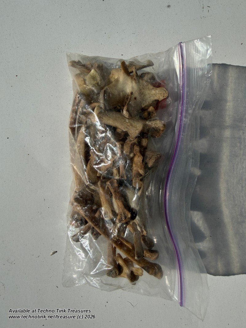 Small Canine Bone Lot - Leg Bones, Ribs, Vertebrae & Toe Bones - Bagged Set - Image 3